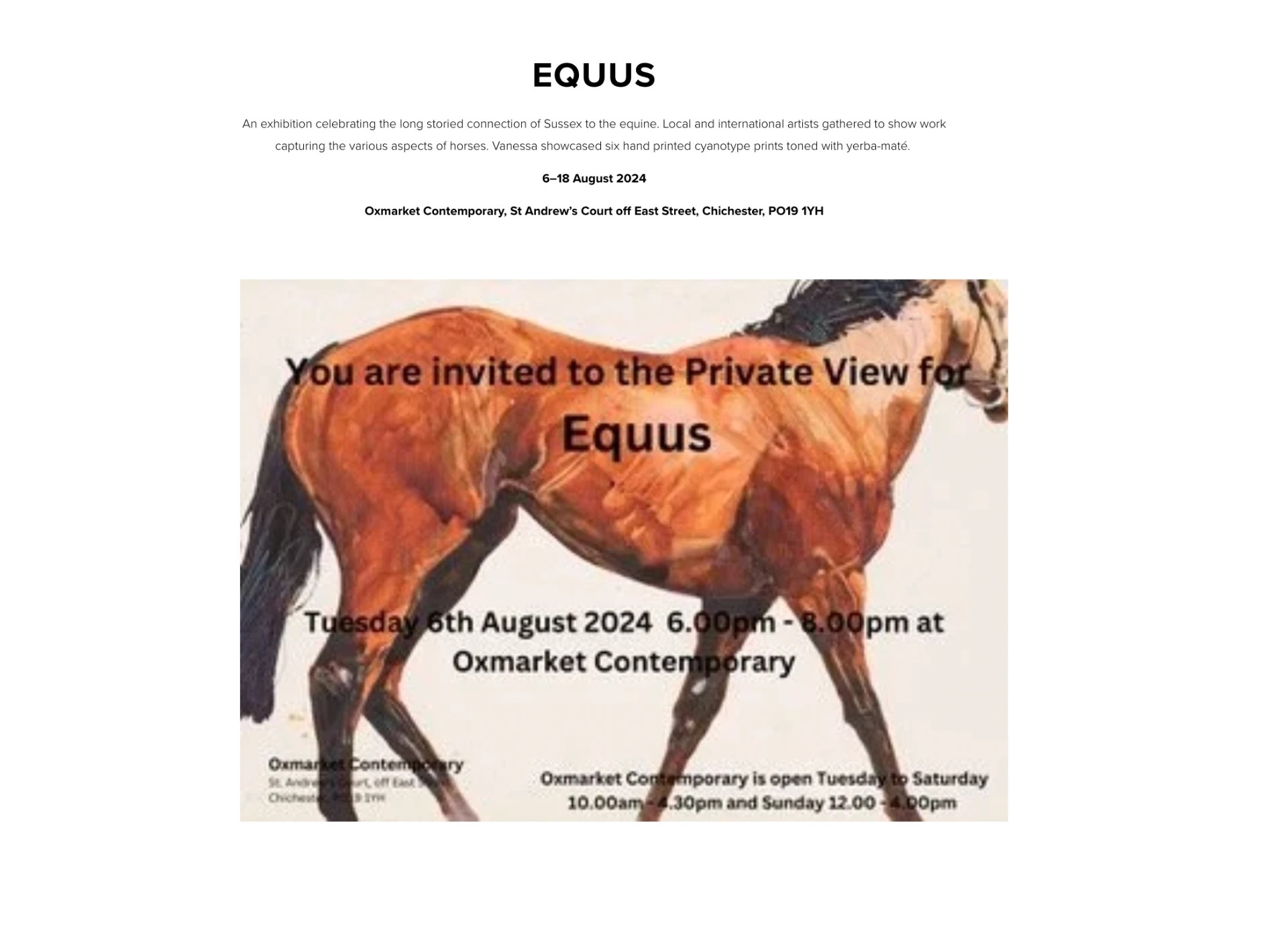 EQUUS — Oxmarket Contemporary, Chichester, 2024