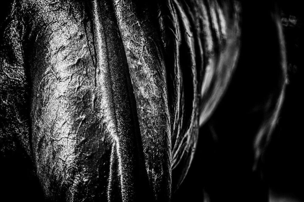 Neck — black and white photograph by Vanessa Taylor