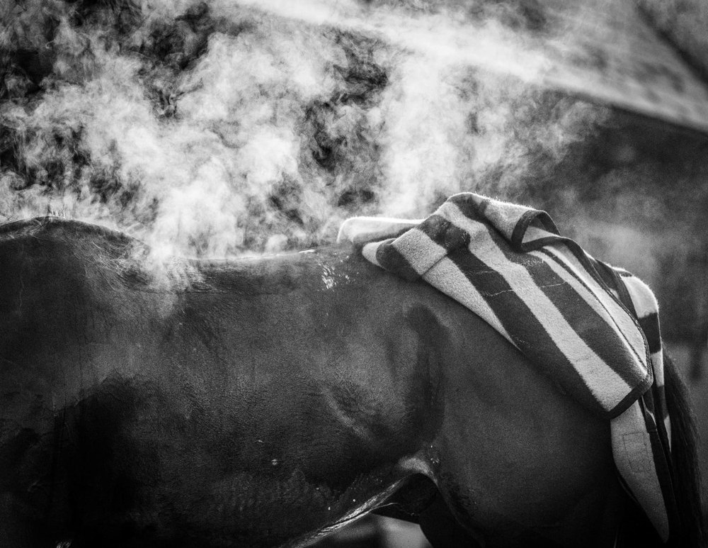 Steam — black and white photograph by Vanessa Taylor