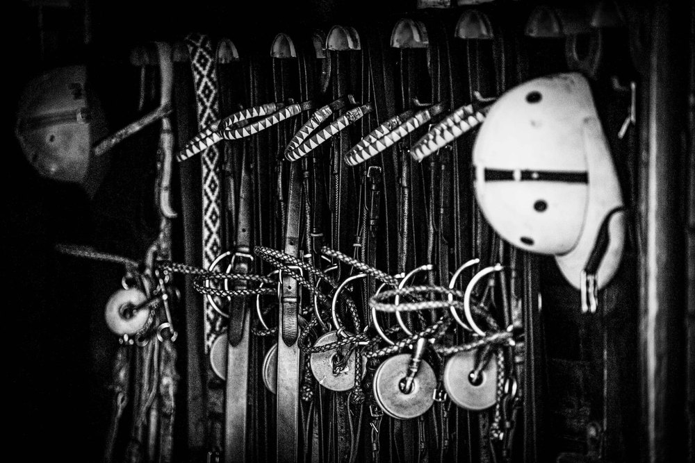 Frenos — black and white photograph by Vanessa Taylor