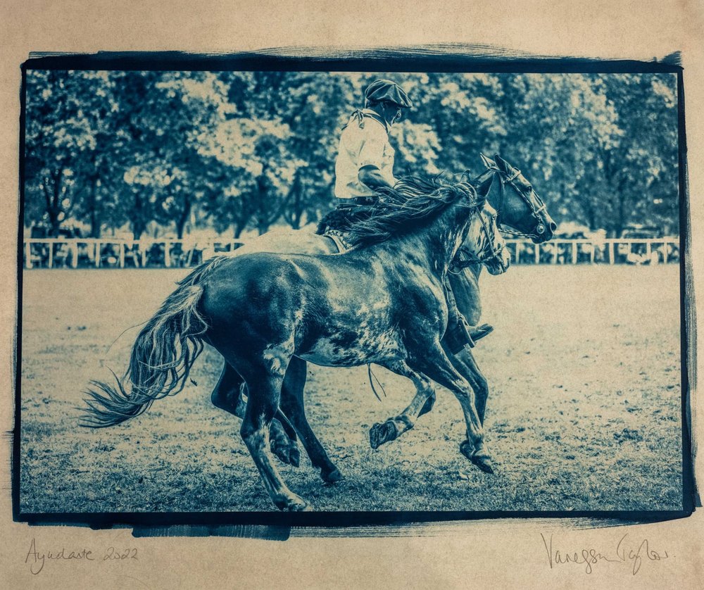 Ayudante — cyanotype toned with yerba maté photograph by Vanessa Taylor
