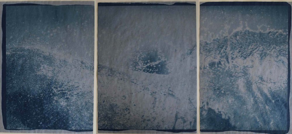Horse Washing Tryptich — cyanotype toned with yerba maté photograph by Vanessa Taylor