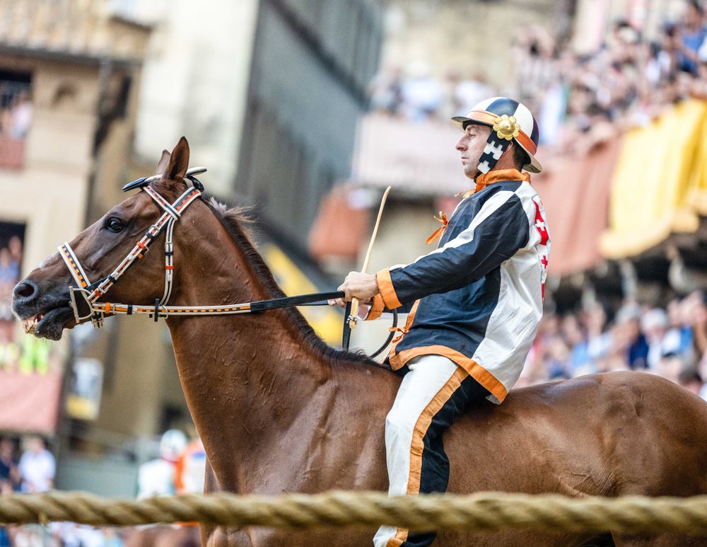 Palio #1 La Lupa — Palio di Siena photograph by Vanessa Taylor