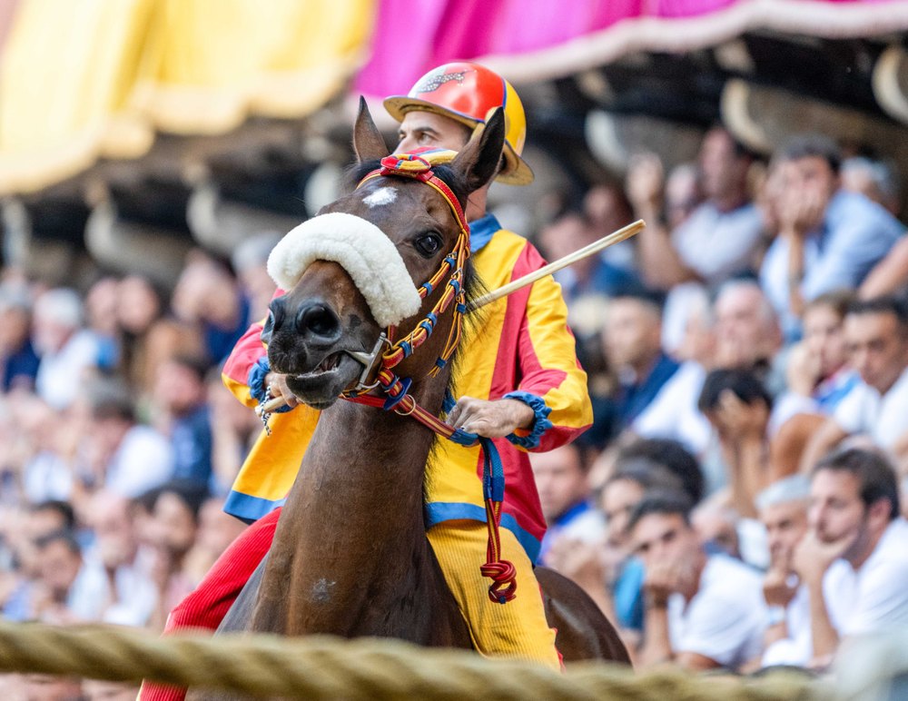 Palio #2 Chiocciola — Palio di Siena photograph by Vanessa Taylor