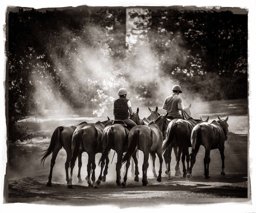 Evening Sets — platinum palladium photograph by Vanessa Taylor