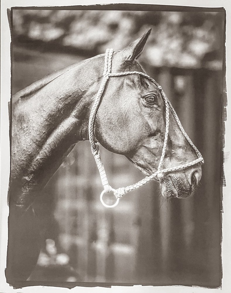 Stuart aka The Spiritual Gangster — platinum palladium photograph by Vanessa Taylor