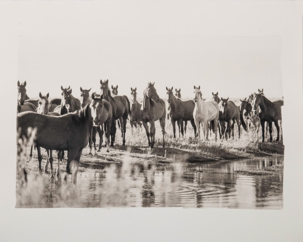 Peace — platinum palladium photograph by Vanessa Taylor